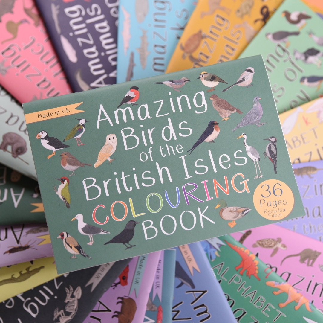 Amazing Birds of the British Isles Colouring Book