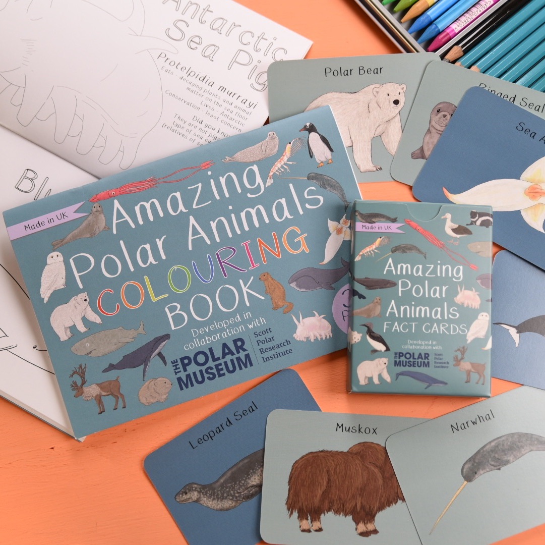 Amazing Polar Animals Fact Cards and Colouring Book