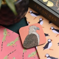 Phillipine Eagle Magnet