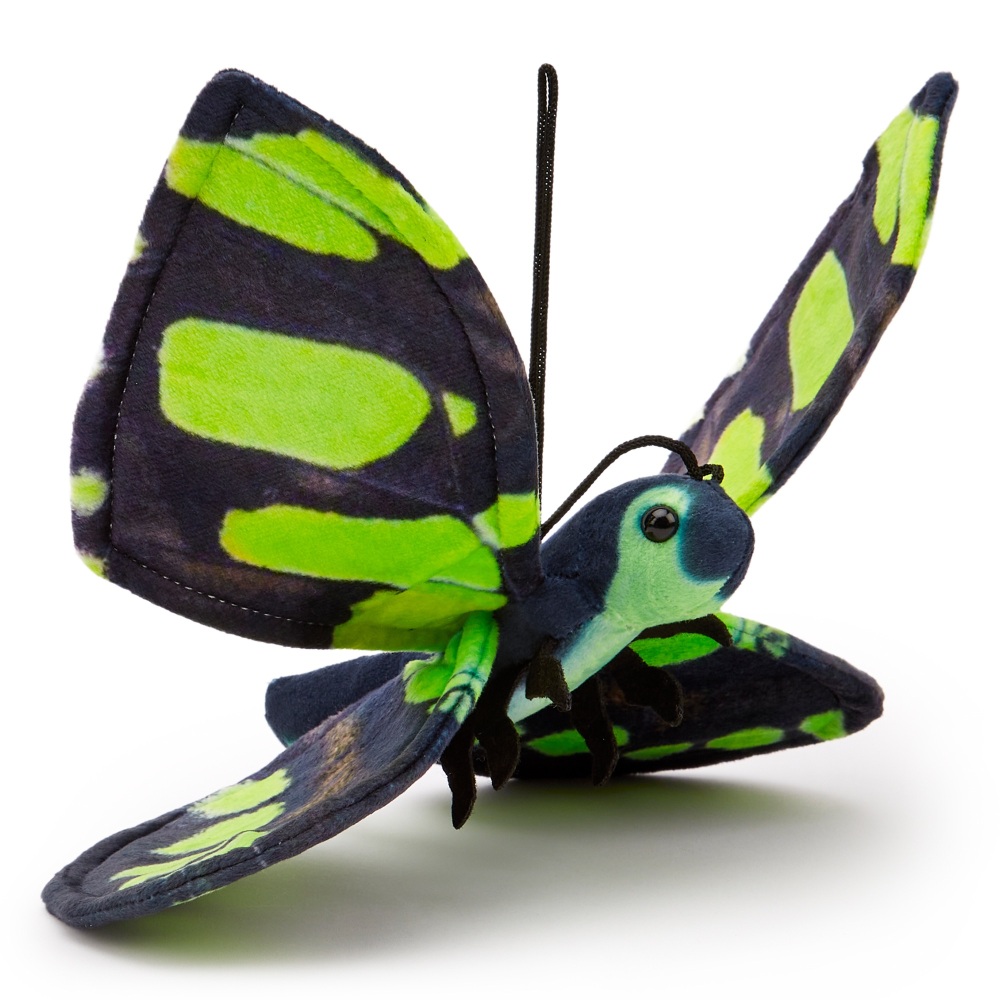Malachite Butterfly Eco Soft Toy