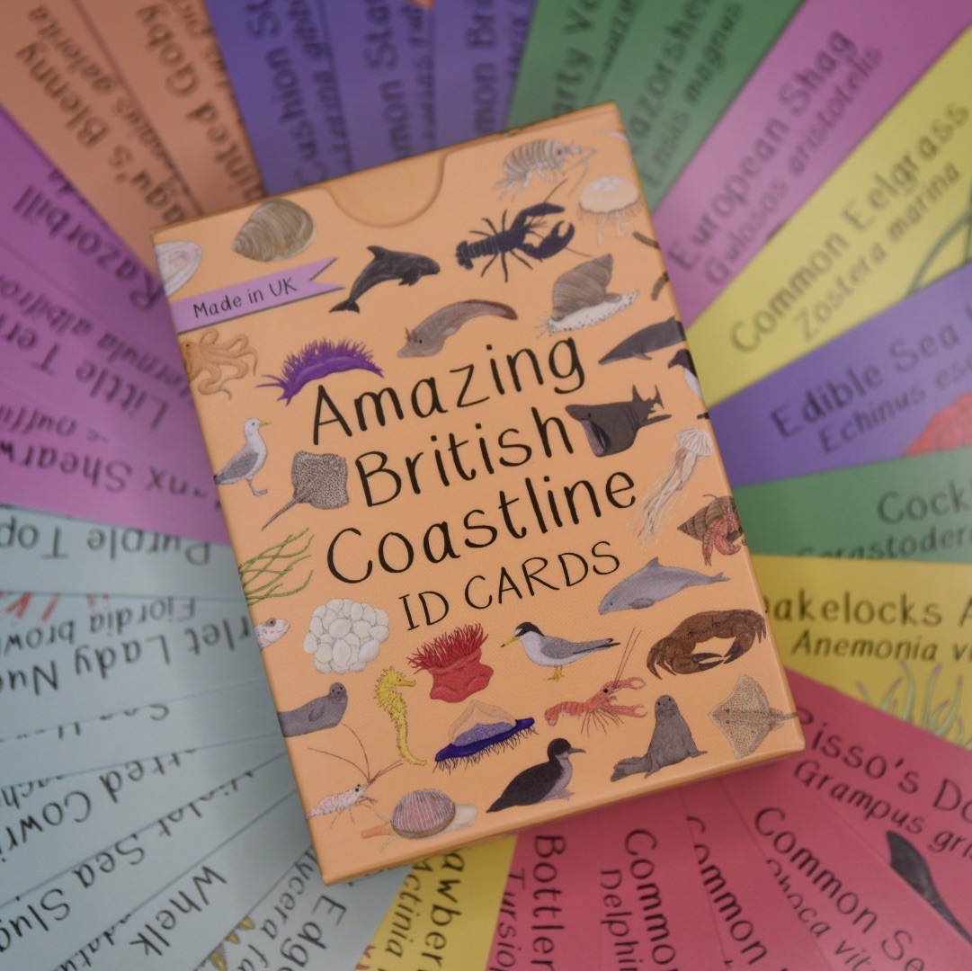 *New* Amazing British Coastline ID Cards - Preorder