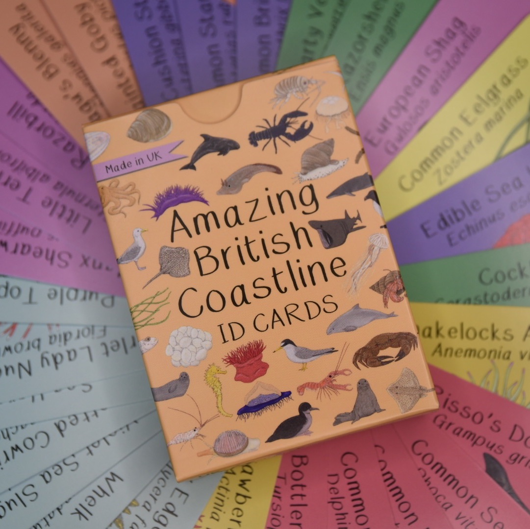 Amazing British Coastline ID Cards