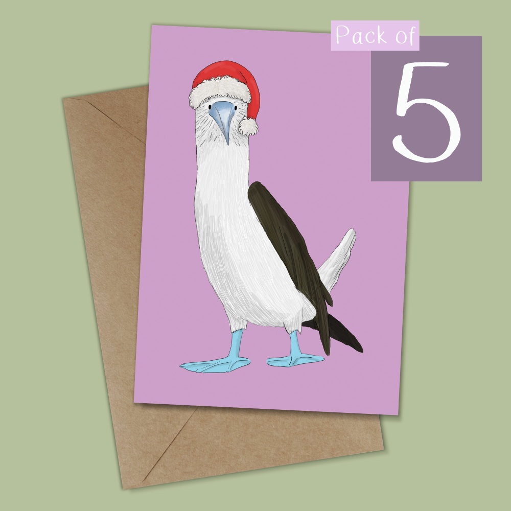 Blue Footed Booby Christmas Card - Pack of 5