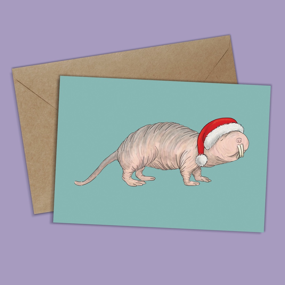 Naked Mole Rat Christmas Card - Pack of 10