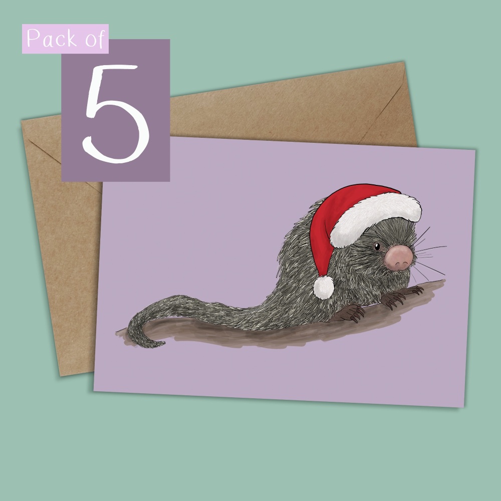 Prehensile Tailed Porcupine Christmas Card -Pack of 5