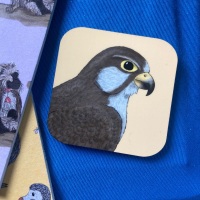 Lugger Falcon Magnet