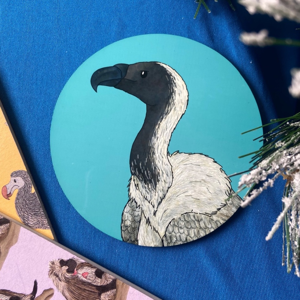 African White Backed Vulture Coaster