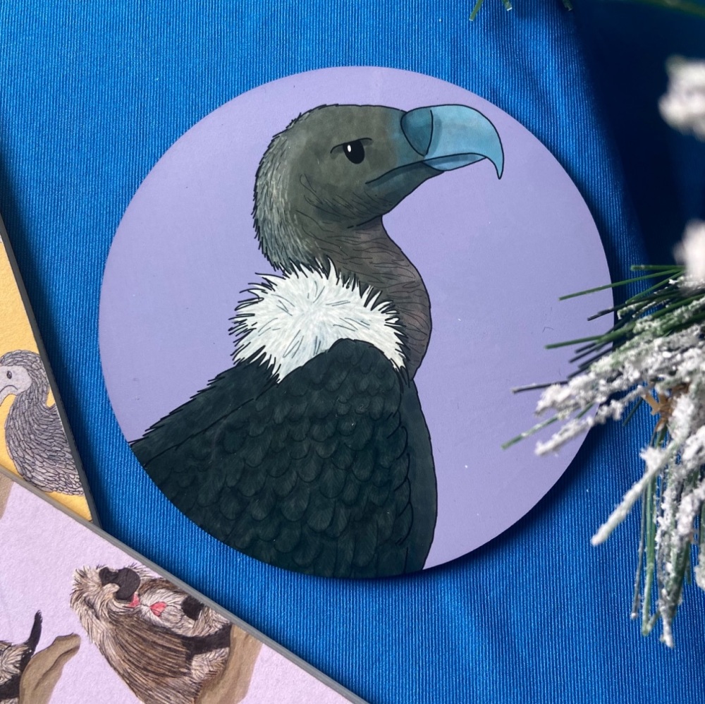 Asian White Backed Vulture Coaster