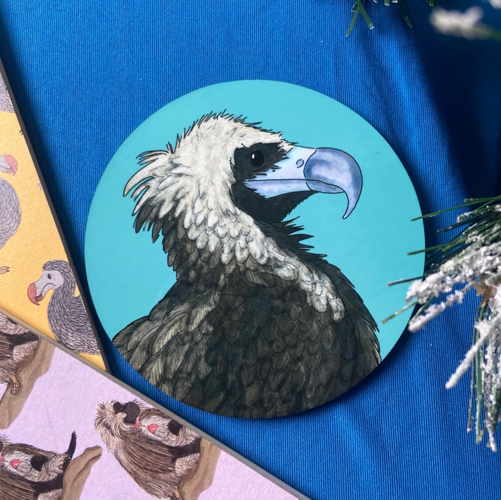 Cinereous Vulture Coaster