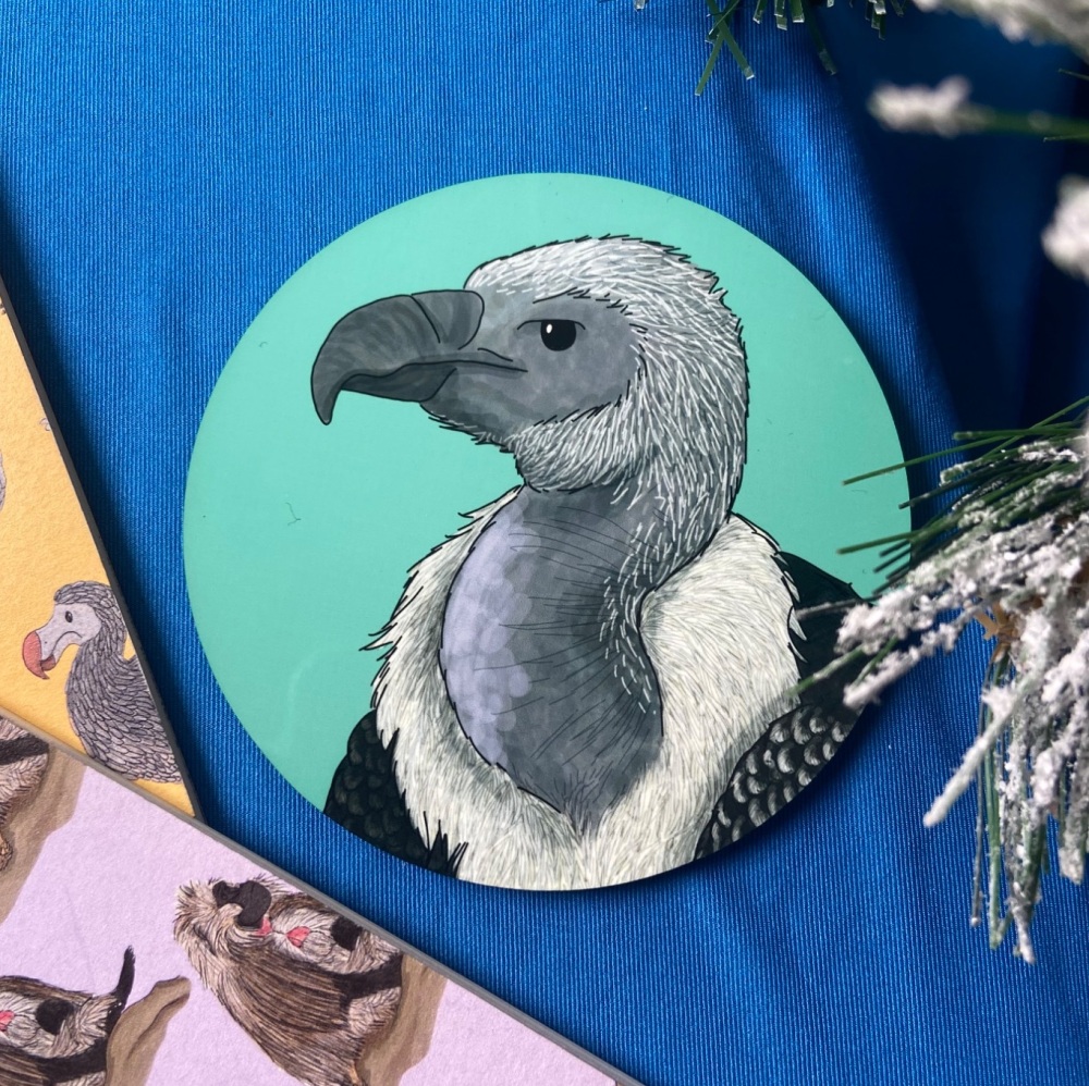 Ruppells Griffon Vulture Coaster