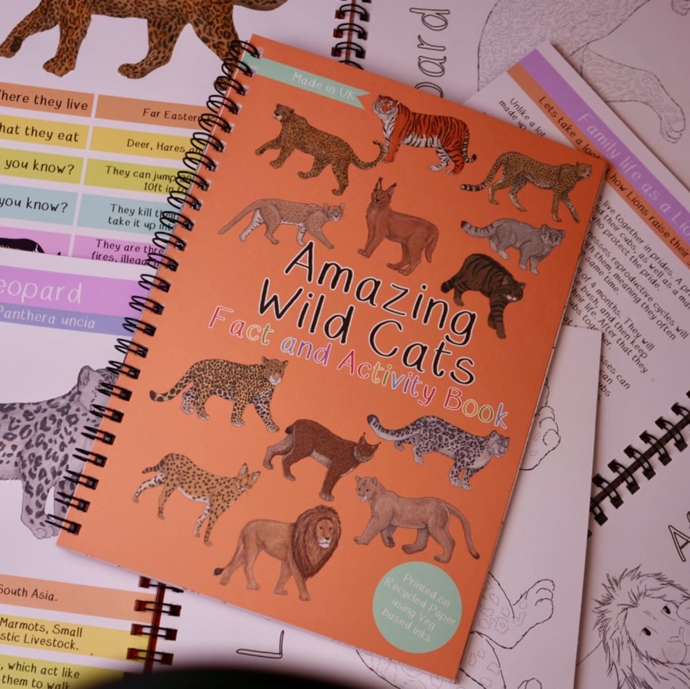 *New* Amazing Wild Cat Fact and Activity Book