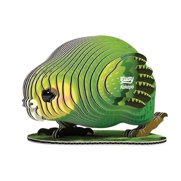 Kakapo 3d Model Kit