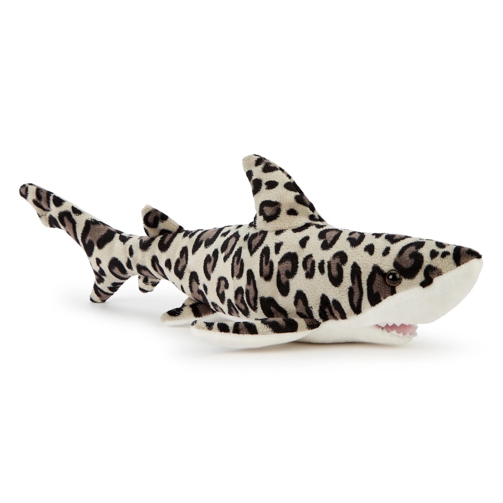 Leopard Shark Eco Soft Toy