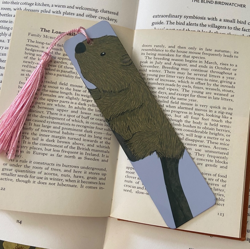 Beaver Bookmark