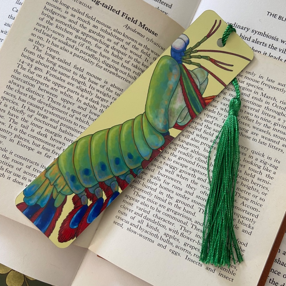 Peacock Mantis Shrimp Bookmark