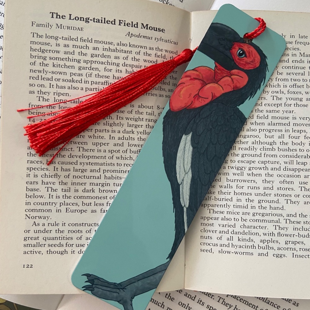 Southern Ground Hornbill Bookmark