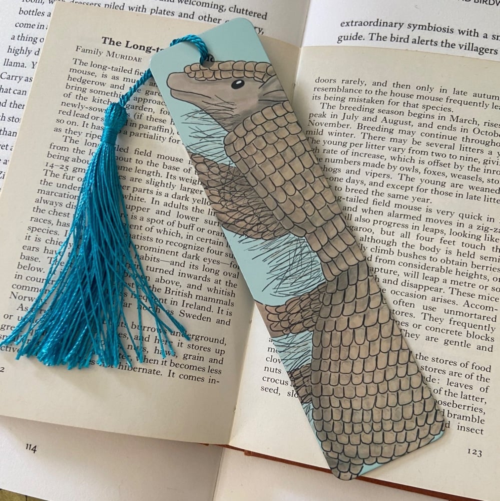 Three Banded Armadillo Bookmark