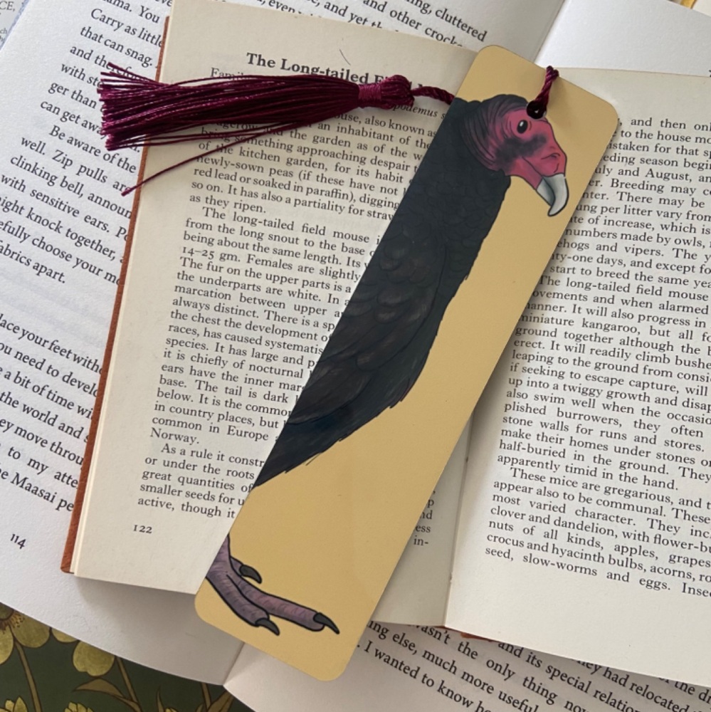 Turkey Vulture Bookmark