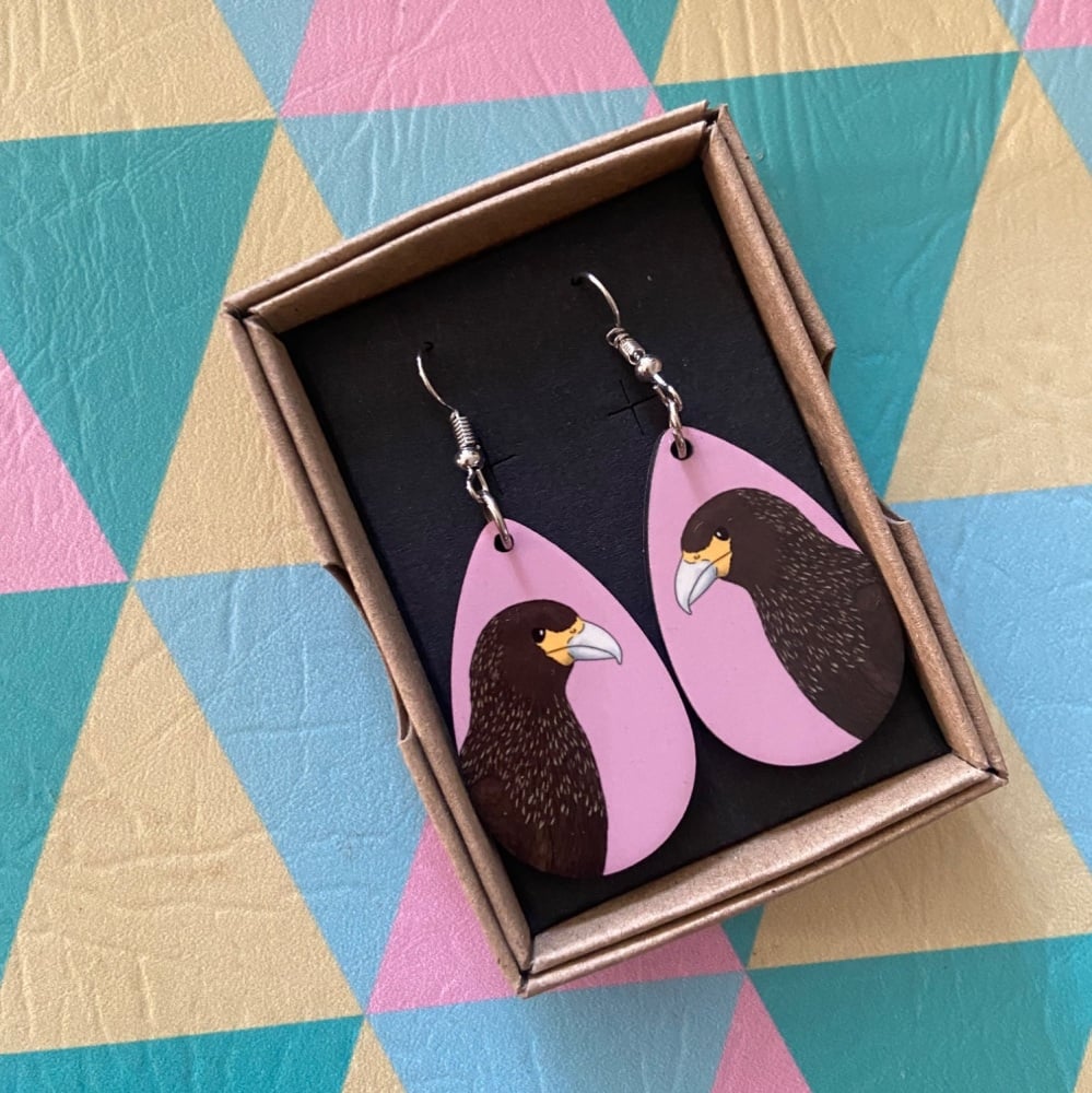 Striated Caracara Earrings - Pink