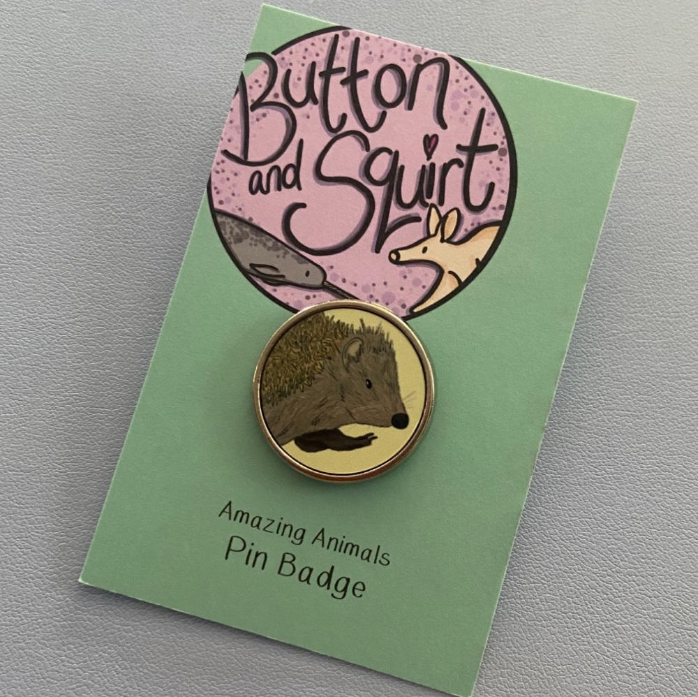 Hedgehog Pin Badge