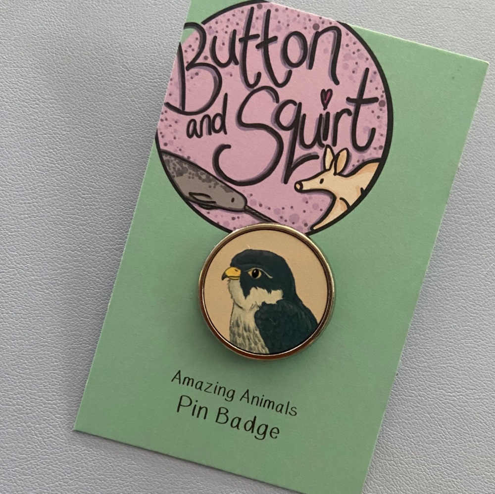 Peregrine Falcon Pin Badge