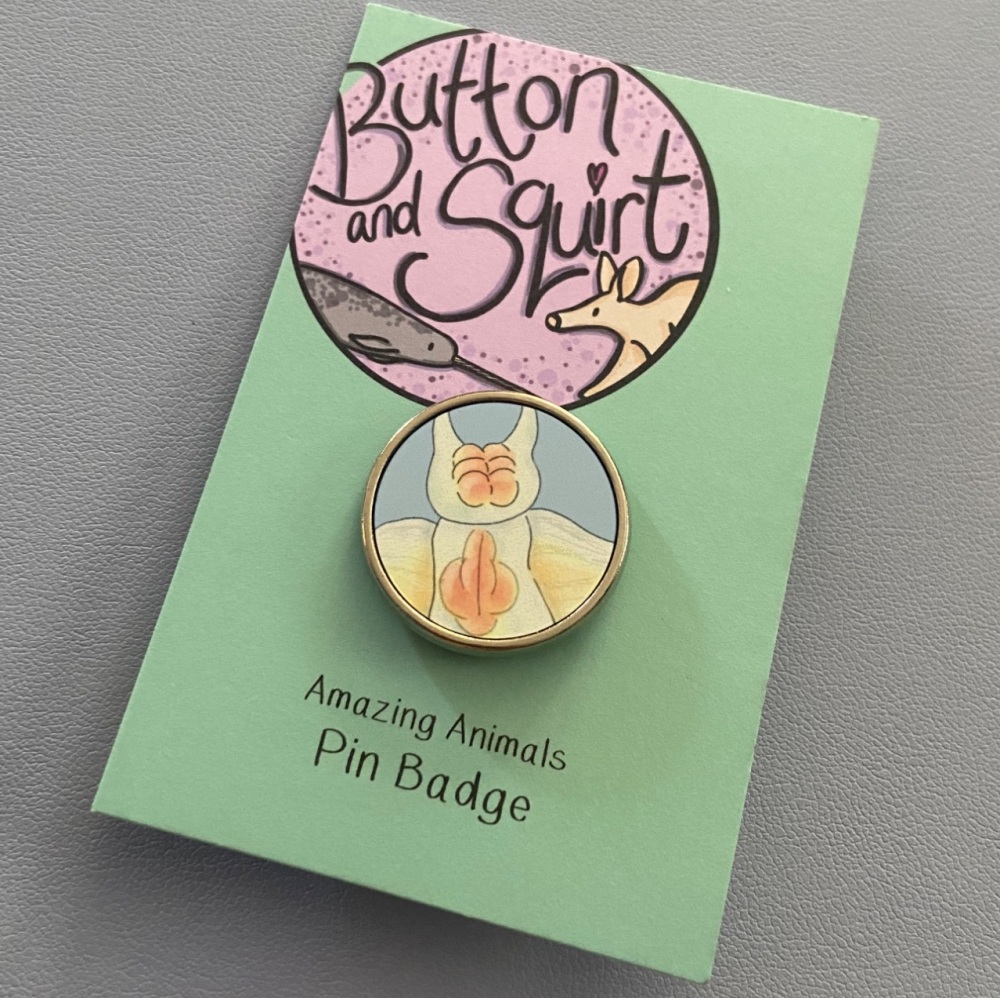 Sea Angel Pin Badge