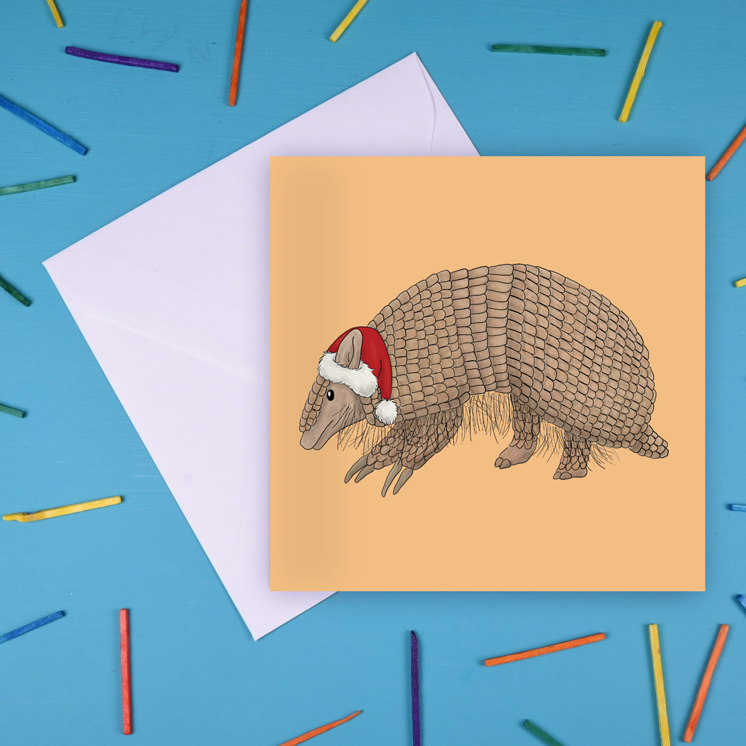 Armadillo Christmas Card