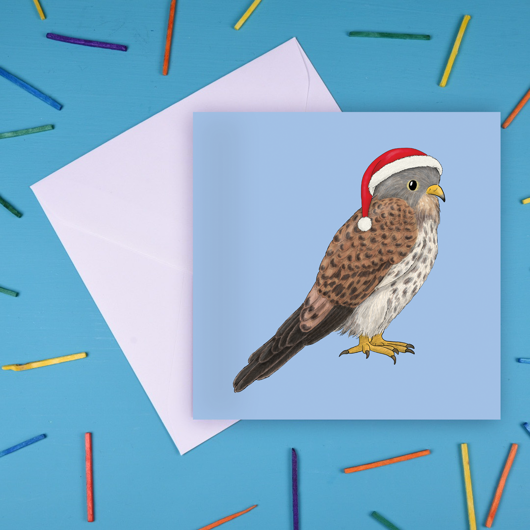 Kestrel Christmas Card