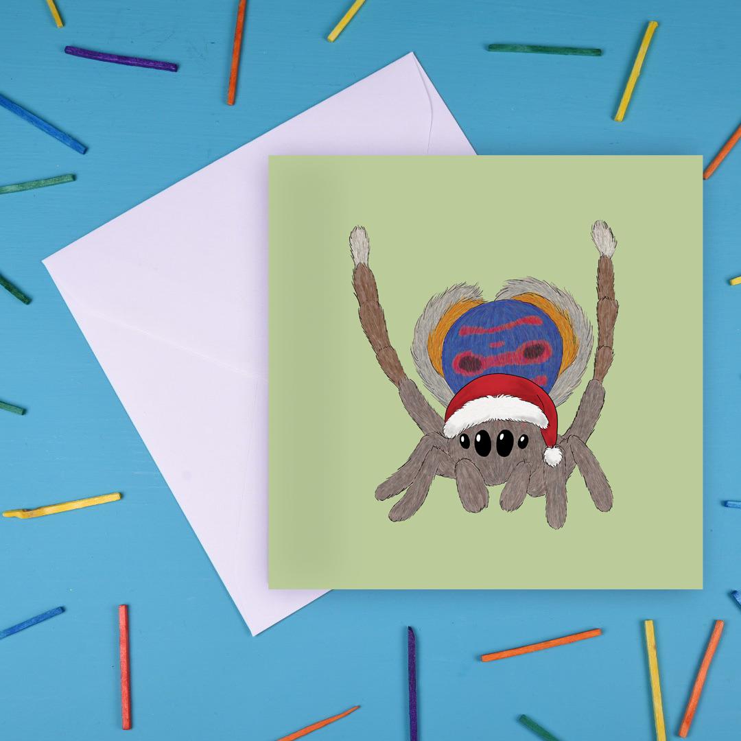 Peacock Spider Christmas Card