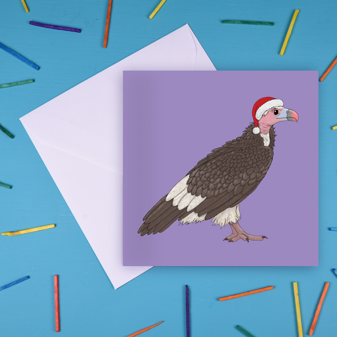 White Headed Vulture Christmas Card