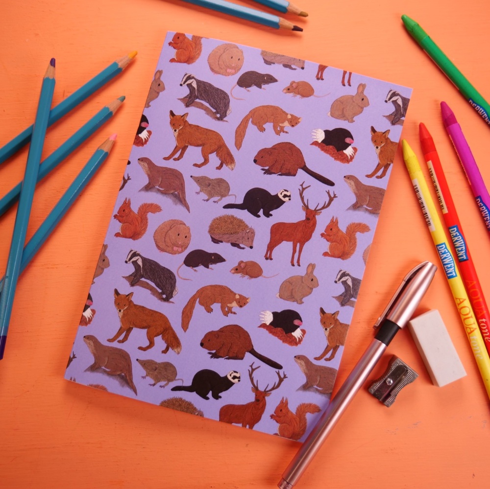 British Mammal Notebook