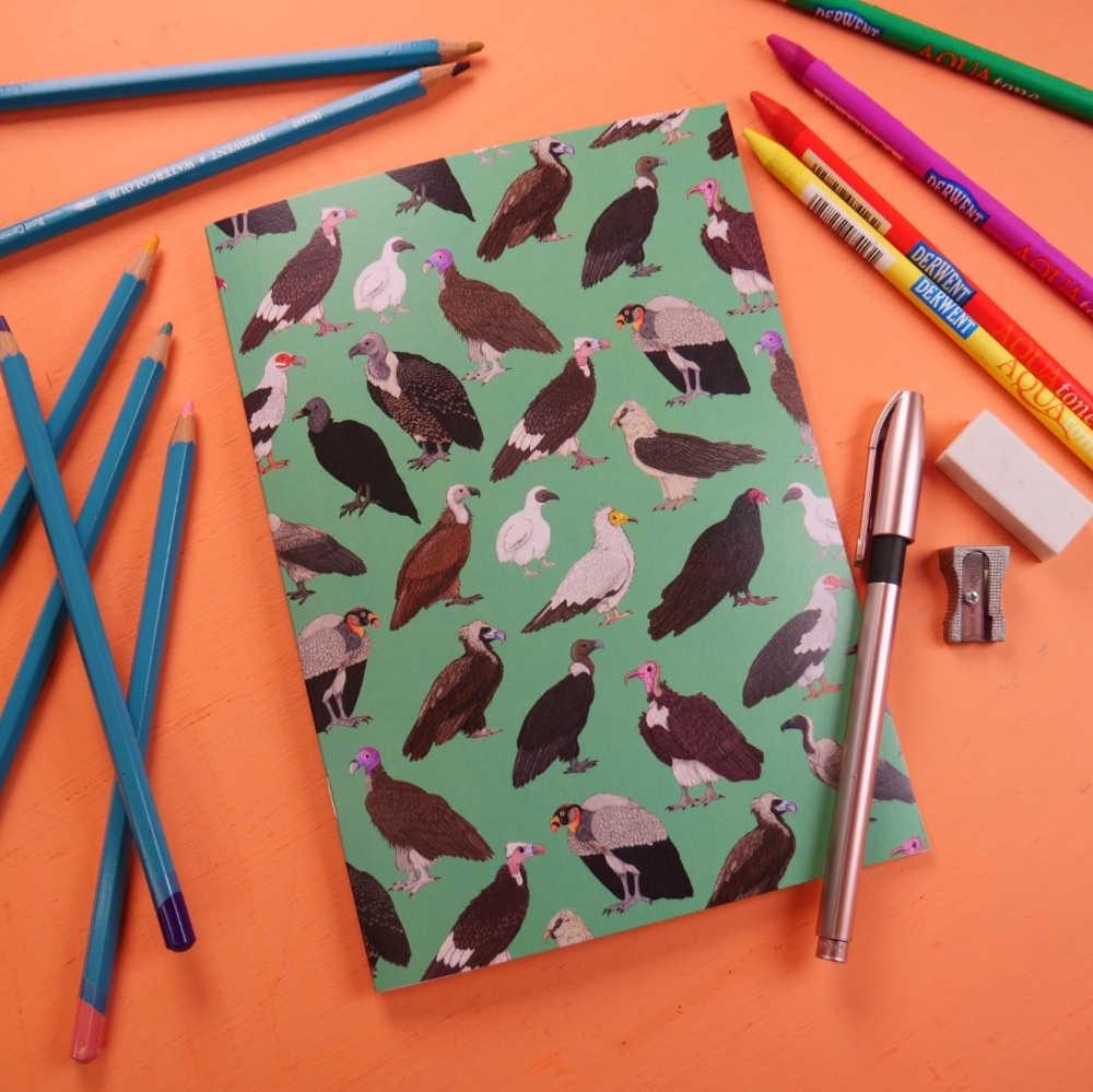 Vulture Notebook