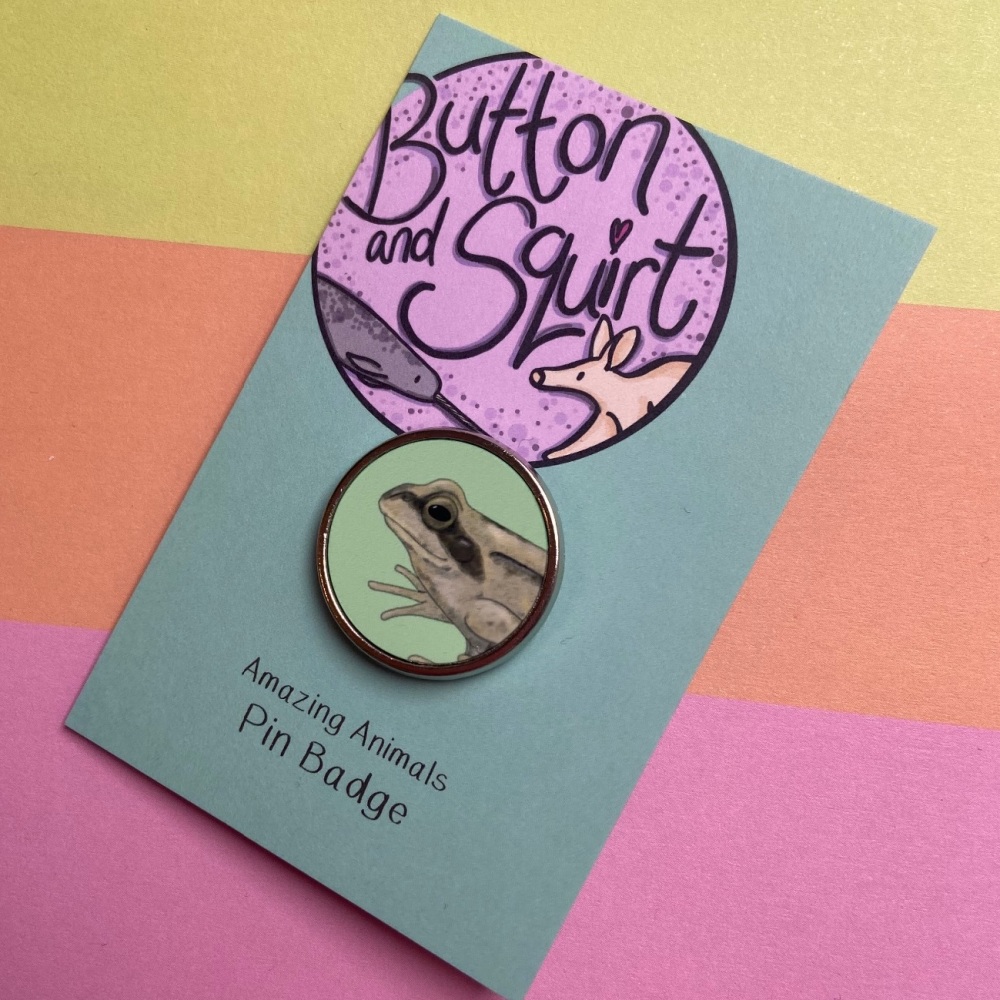 Common Frog Pin Badge