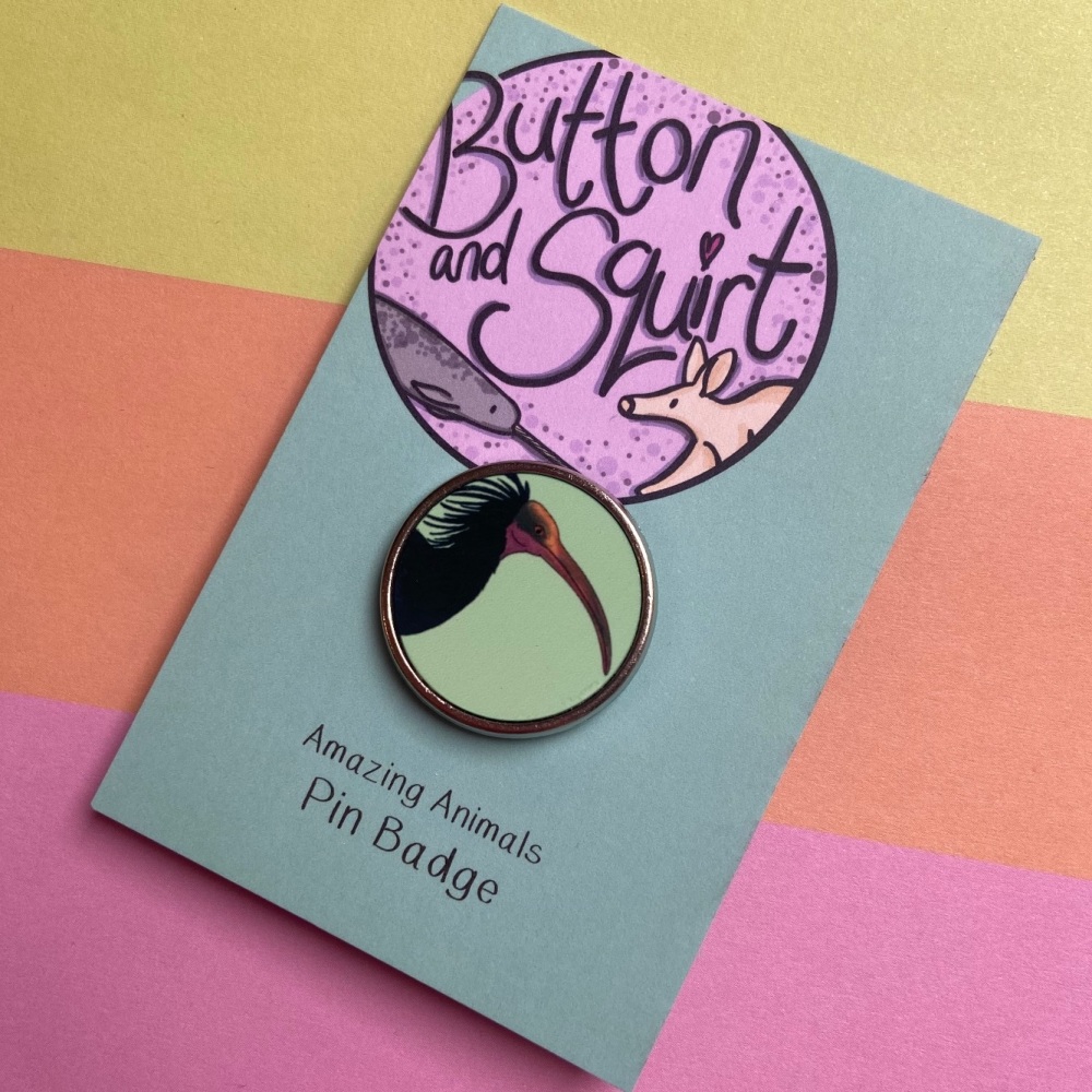 Northern Bald Ibis Pin Badge