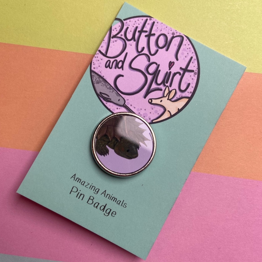Spiny Turtle Pin Badge
