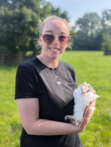 Barn owl chick