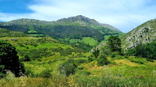 WILDFINCA