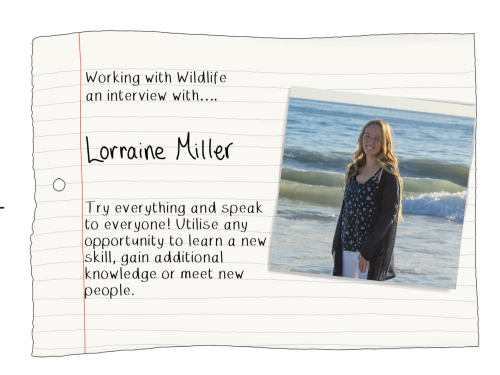 Blog Lorraine miller