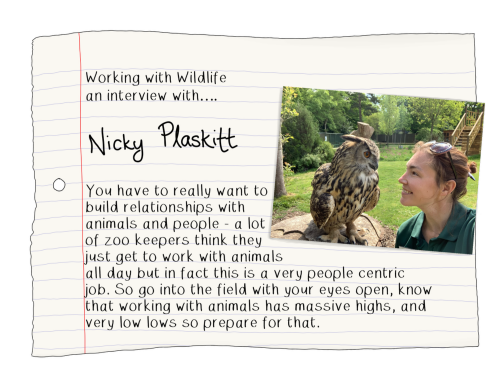 Blog Nicky plaskitt