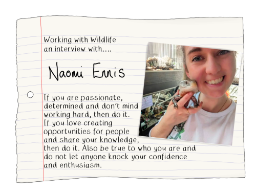 Blog Naomi Ennis