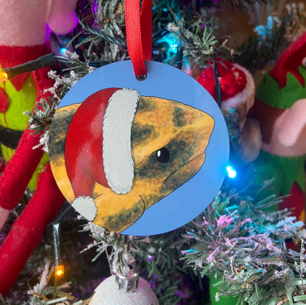 Bale Mountain Frog Christmas Decoration