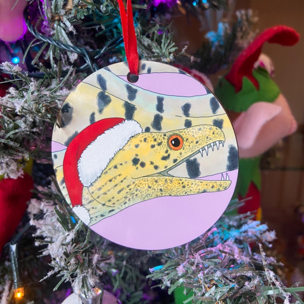 Fimbriated Moray Eel Christmas Decoration