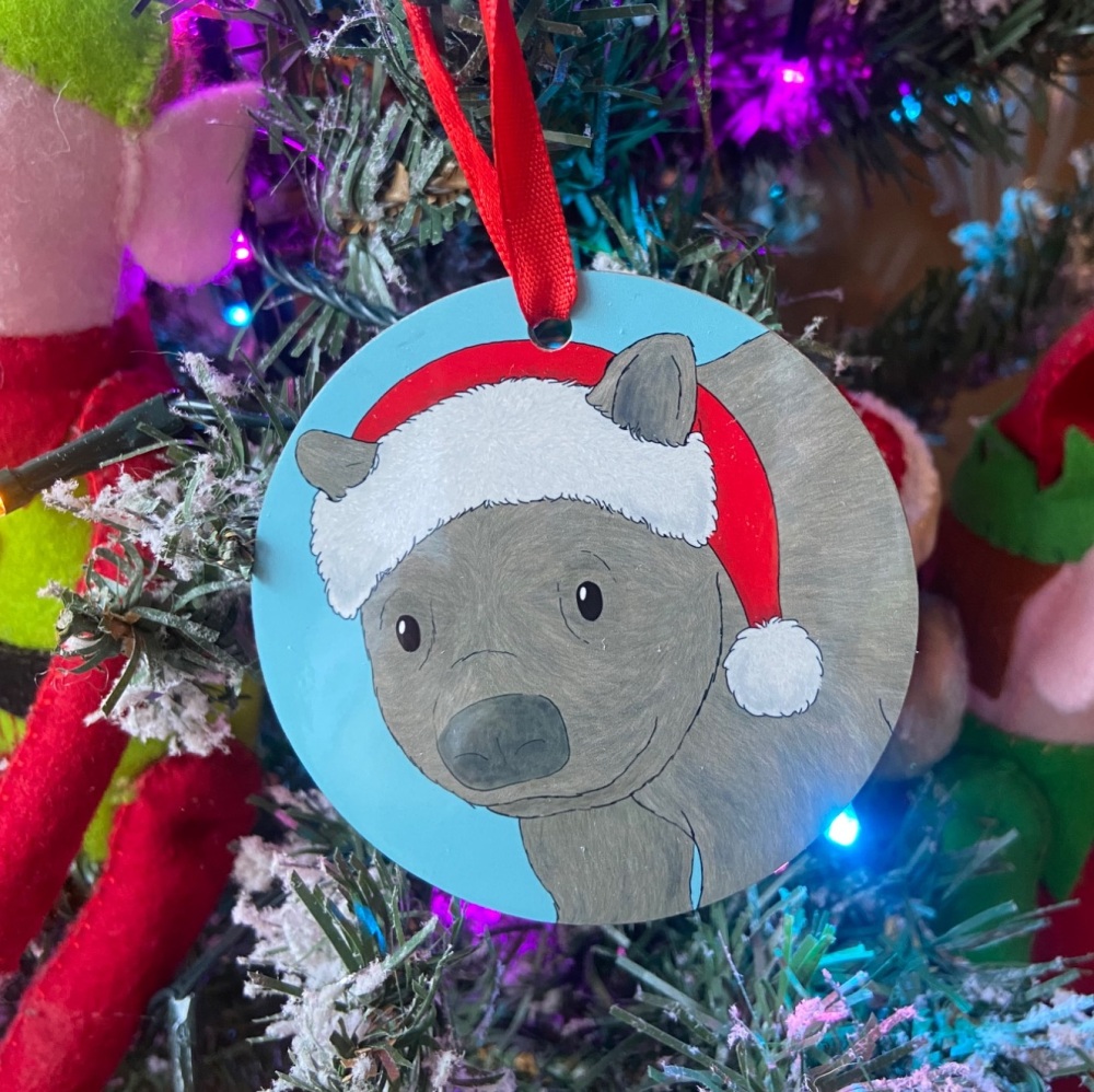 Northern Hairy Nosed Wombat Christmas Decoration