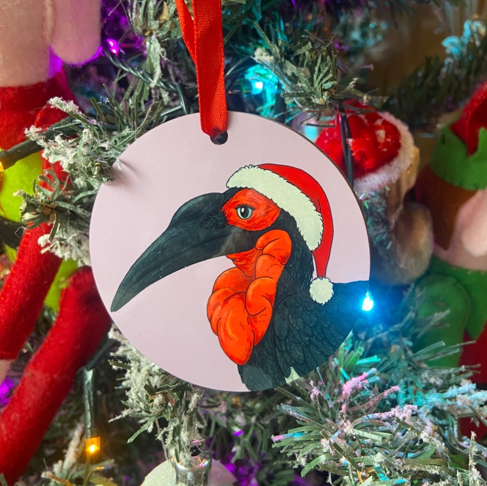Southern Ground Hornbill Christmas Decoration