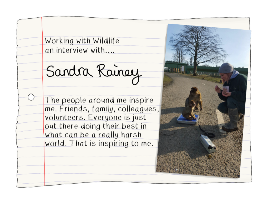 Blog Sandra Rainey