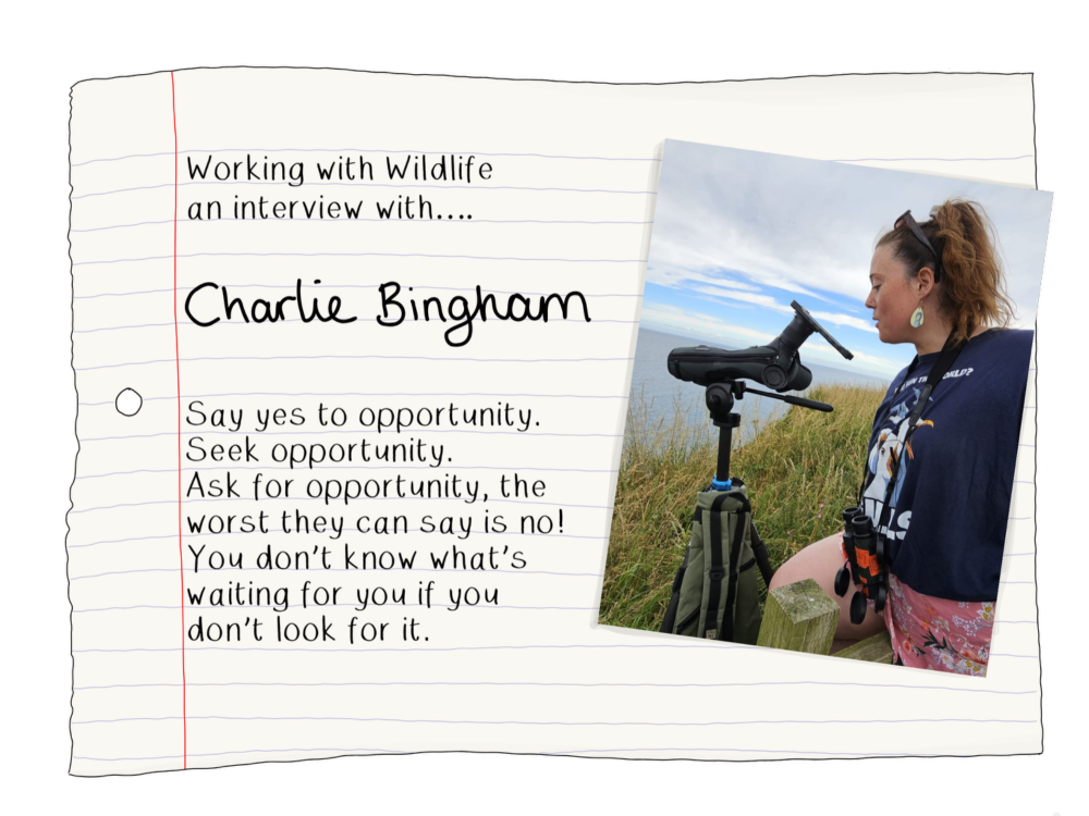 Blog Charlie Bingham