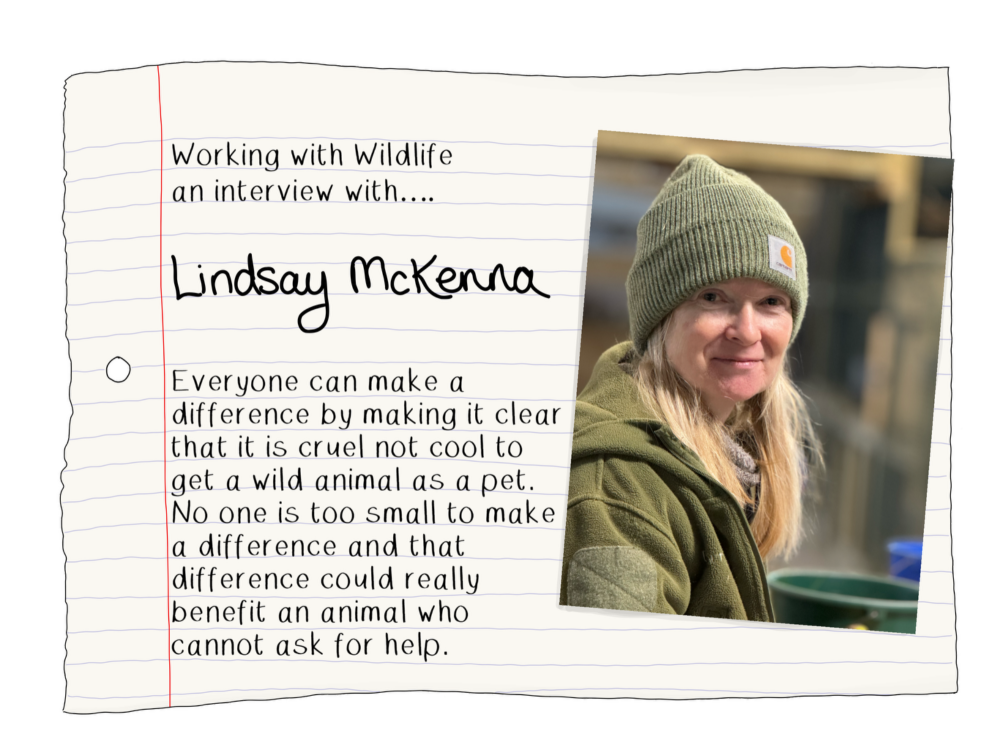 Blog Lindsay McKenna