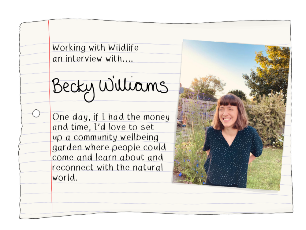 Blog Becky williams