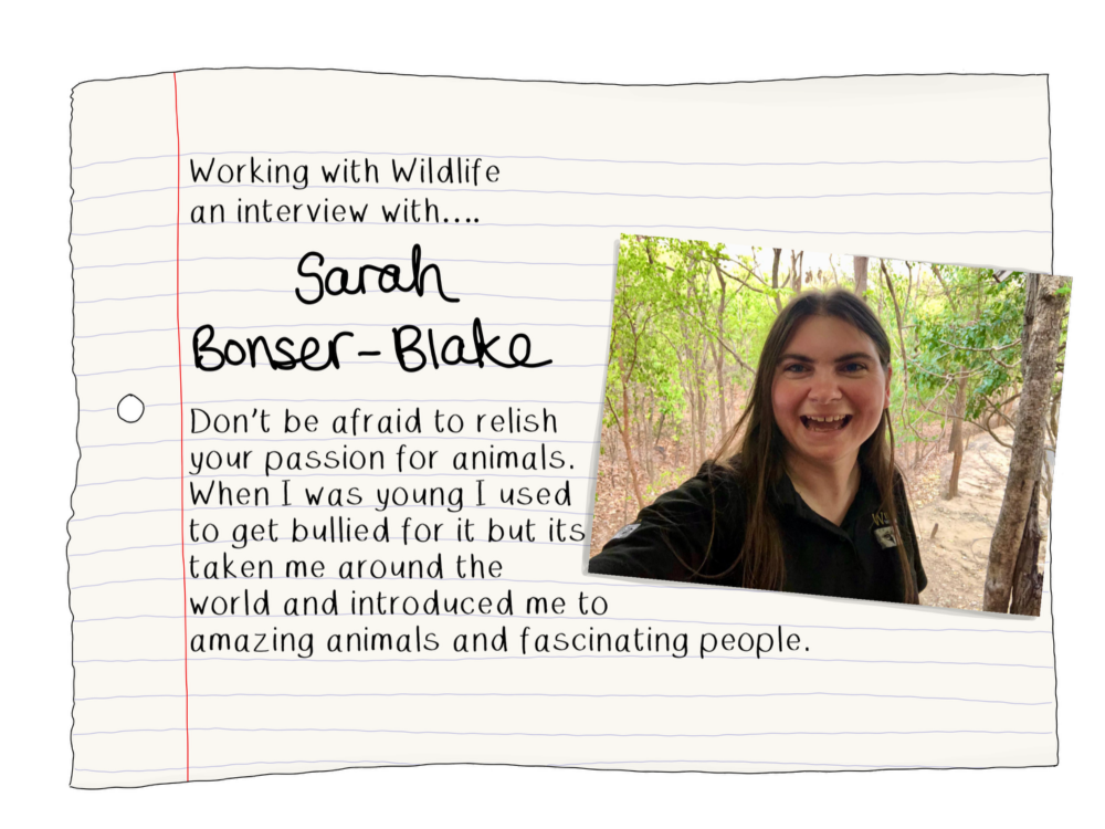Blog Sarah bonser Blake
