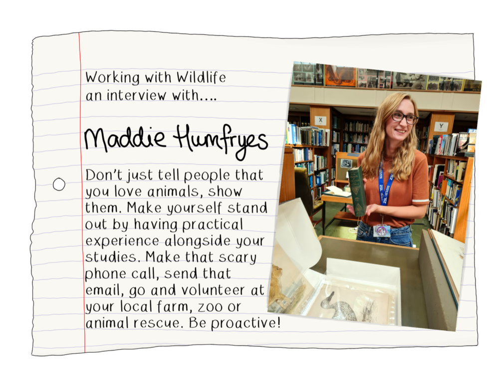 Maddie humfryes